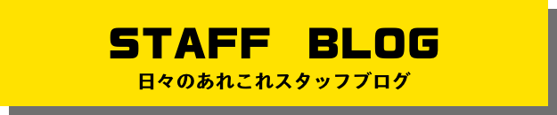 STAFF BLOG